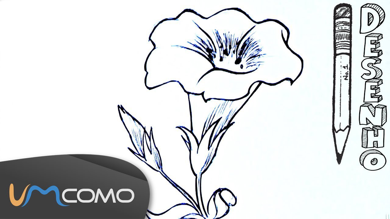 Desenhos De Uma Flor