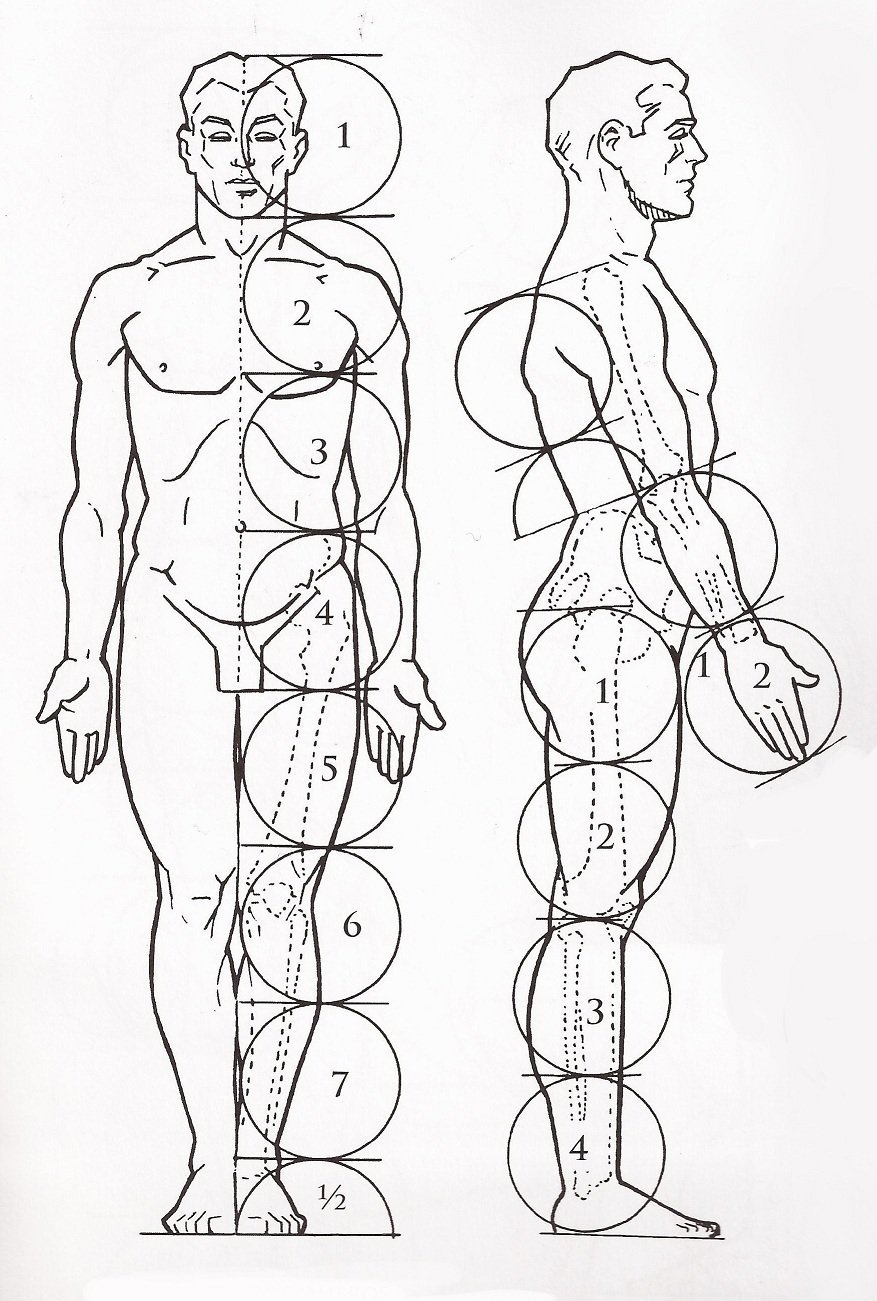 Desenhos Corpo Humano